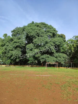 Abasaheb Garware College, Karve Road Gallery