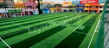 Dayanand Model School Dayanand Model School Gallery