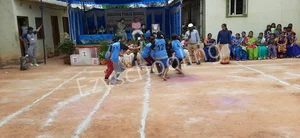 Sunshine Public School Gallery