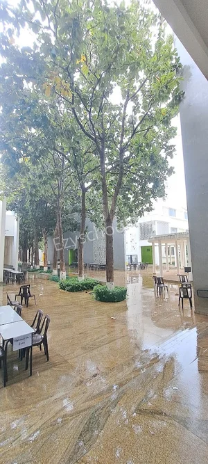 Vidyashilp Academy Gallery