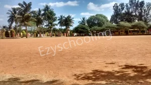 Sri Chaitanya Techno School Gallery