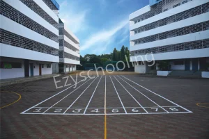 The New Cambridge High School Gallery