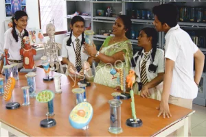 The New Cambridge High School Gallery