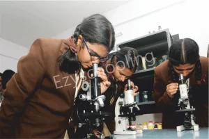 The New Cambridge High School Gallery