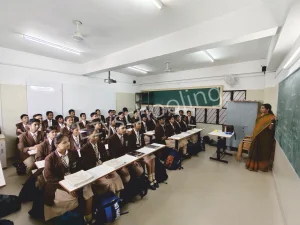 The New Cambridge High School Gallery