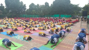 Endeavour's International School Gallery