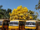 SSVN Public School SSVN Public School Gallery