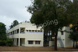 St. Philomena's Public School Gallery