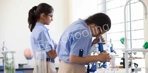 Sherwood High Gallery