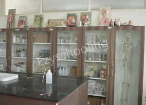 Shri Ram Global School Gallery