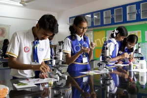 Insight Academy Gallery