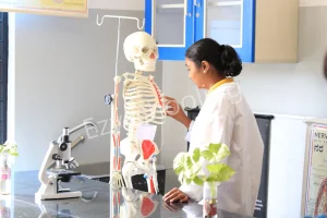 Insight Academy Gallery