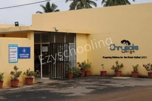 Chrysalis High Gallery