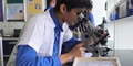 Kunskapsskolan Bengaluru ( The Knowledge School) Gallery