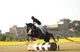 The Gurukulam School - Suratgarh, Sri Ganganagar, Rajasthan Boarding School BuildingImage 2
