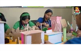 Wonderland E-Learning School Wonderland E-Learning School Gallery