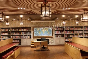 DPS International Gallery
