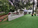 Kangaroo Kids Kangaroo Kids Gallery