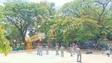 Kendriya Vidyalaya Gallery