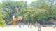 Kendriya Vidyalaya, Malleshwaram, Bangalore School BuildingImage 2