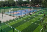 Army Public School Gallery