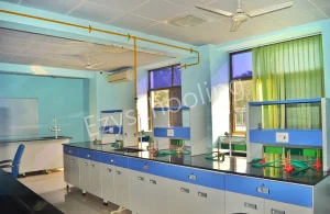 Bharat Ram Global School Gallery