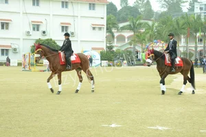 Tula's International School Gallery