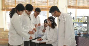 Tula's International School Gallery