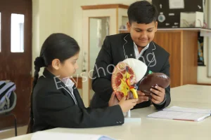 Tula's International School Gallery