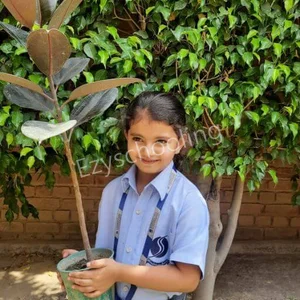 Sarvottam International School Gallery