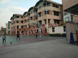 Delhi Public School Gallery