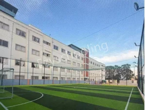 MVM School Gallery
