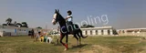 Pavna International School Gallery