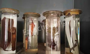 Pavna International School Gallery