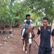 Chettinad - Sarvalokaa Education, International School, Chennai, Tamil Nadu Boarding School BuildingImage 2