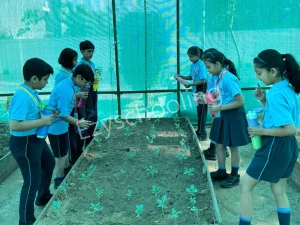 Satya School Gallery