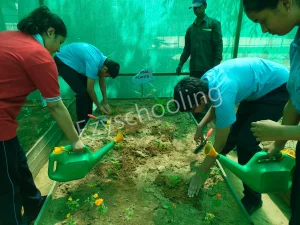 Satya School Gallery
