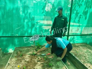 Satya School Gallery