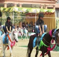 Ashok Hall Girls' Residential School Gallery