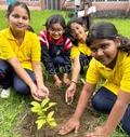 Ashok Hall Girls' Residential School Gallery
