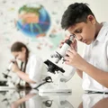 Delhi World Public School Gallery