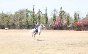 Viraj International School Gallery