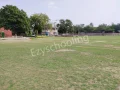 Apeejay School Gallery