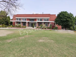 Apeejay School Gallery
