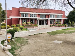 Apeejay School Gallery