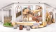 Vasant Valley School, DLF Phase II, Gurgaon School BuildingImage 3