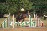 Mayo College Girls School Gallery