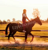 Ecole Globale International Girls' School Gallery