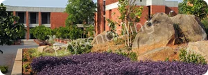 The Aga Khan Academy Gallery