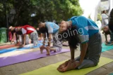 Delhi Public School Bangalore North Gallery